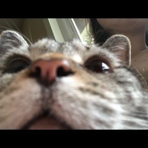 Meet your Posher, Isabella